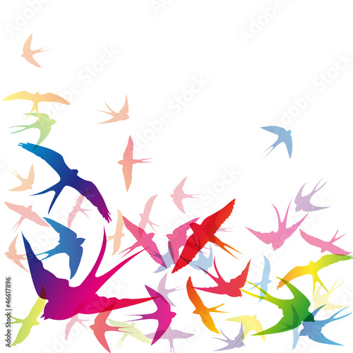 Nowoczesny obraz na płótnie Abstract swallows background # Vector