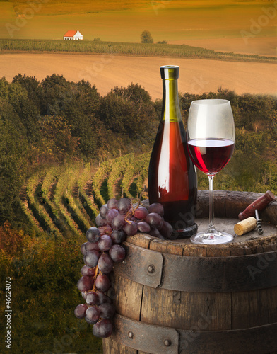 Plakat na papierze fotorealistycznym Martwa natura z czerwonym winem w winnicy