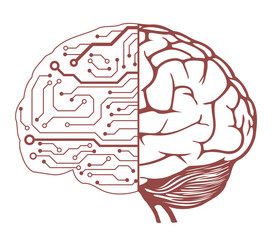 Leinwandbilder - human brain as a central processing unit
