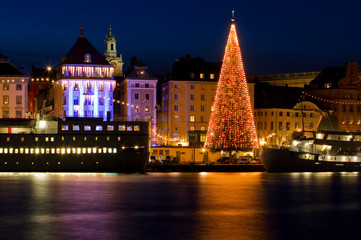 Canvas Print - Christmas tree in Stockholm City at night.