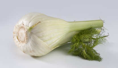 Fennel