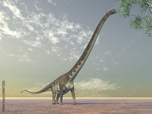 Board z aluminiowym obramowaniem Mamenchisaurus dinozaurów