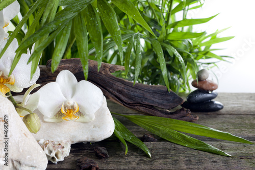 Tapeta ścienna Dekoracja koncepcji spa z palmami orchidei i kamieni zen