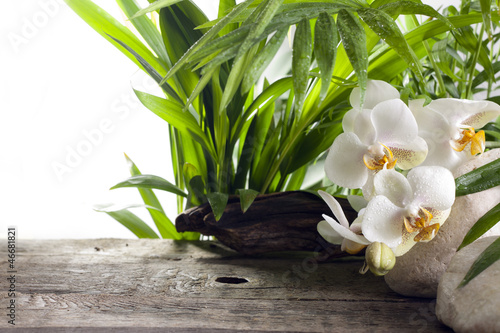 Tapeta ścienna Orchidee na kamień i drewniane deski spa koncepcja tło