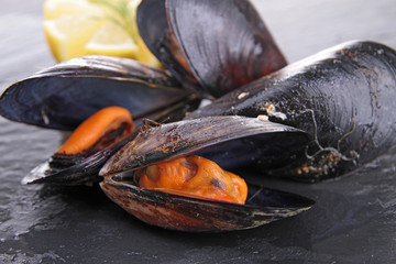 Canvas Print - close up on mussel