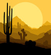 Cactus plants in Mexico desert sunset vector