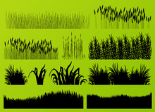 Plants, Grass And Flowers Detailed Silhouettes