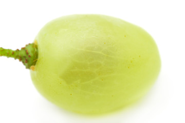 Canvas Print - grapes on a white background. macro