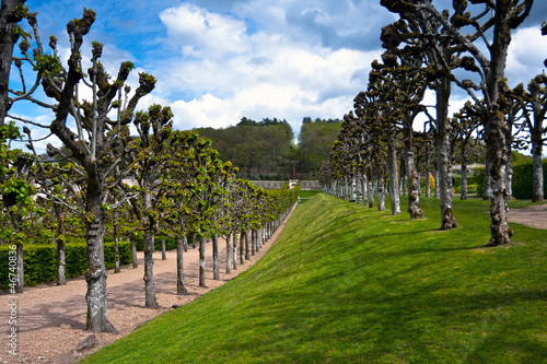 Board z aluminiowym obramowaniem Piękna aleja w pobliżu zamku de villandry, dolina Loary, Francja