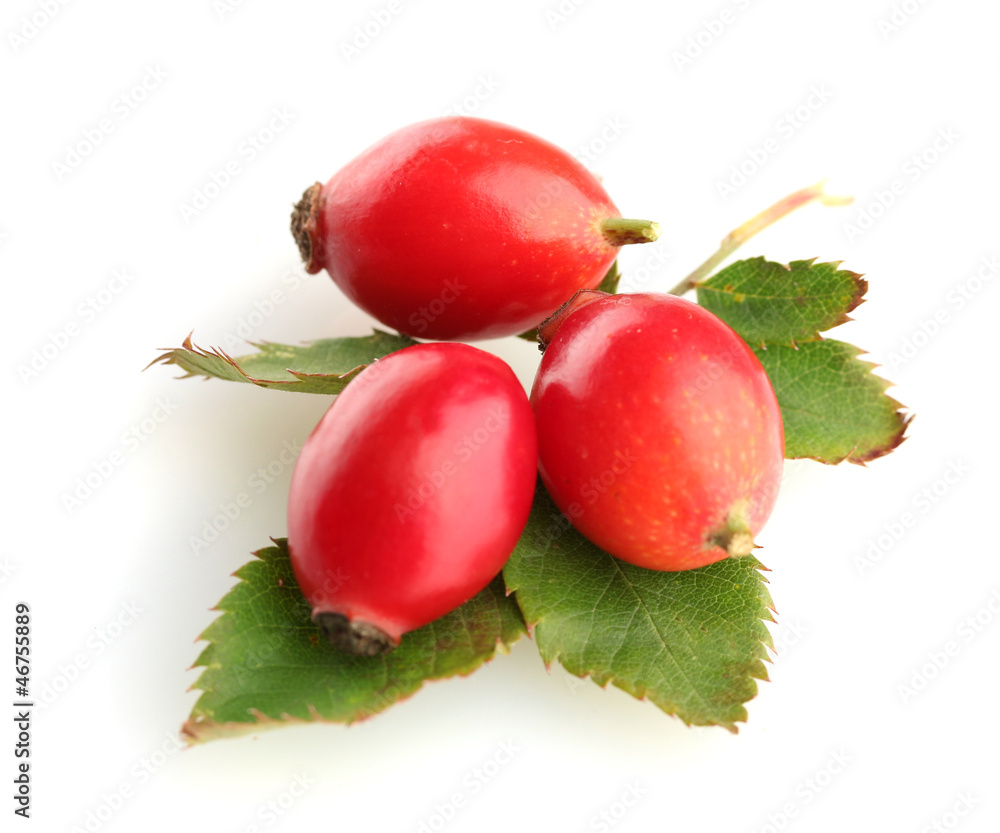 ripe hip roses on green leaves, isolated on white