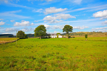 Canvas Print - Beautiful summer landscape