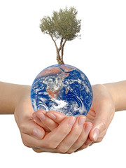 Wall Mural - Gift of Earth.Elements of this image furnished by NASA