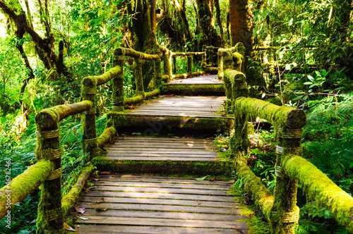 Naklejka na drzwi Wood walkway