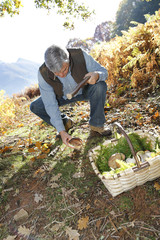 Wall Mural - Senior man knelt in forest looking for ceps