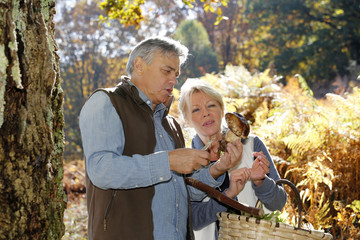 Wall Mural - Senior couple in forest holding ceps mushrooms