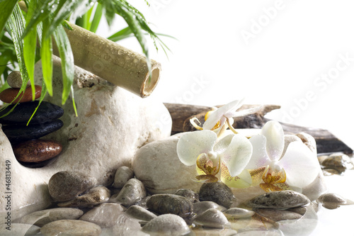 Plakat na zamówienie Orchids and zen stones on water spa concept on white background