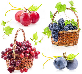 Canvas Print - Collection of Dark and red grapes Isolated on white background