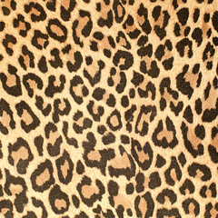 Wall Mural - Leopard leather pattern texture closeup