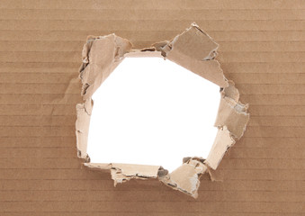 Ripped hole in cardboard on white background