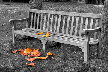 Wall Mural - Bench in autumn park.