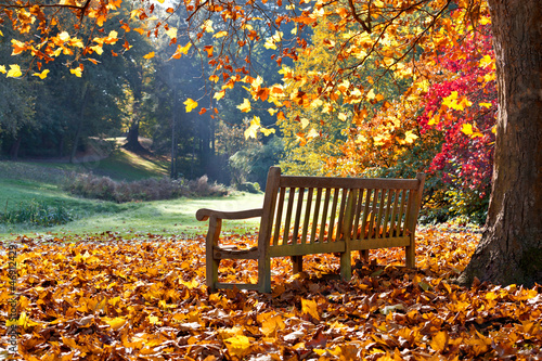 Fototapeta na wymiar Bench in autumn park.