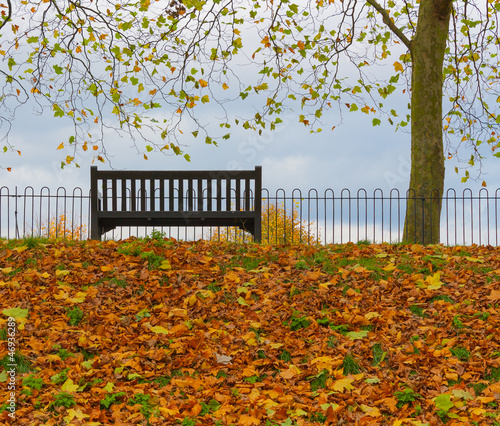 Obraz w ramie Park Bench and Tree.