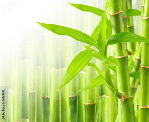 Naklejka dekoracyjna Bamboo background with copy space