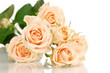 Beautiful roses isolated on white