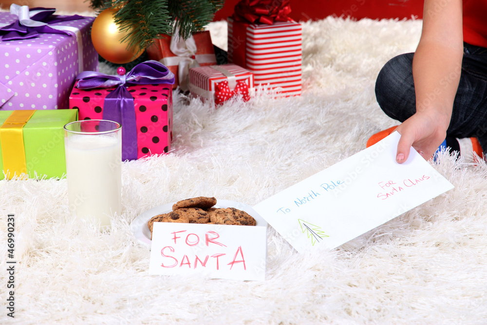 Milk, cookies and letter for Santa Claus under Christmas Tree
