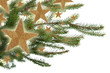 Christmas twig and gold stars