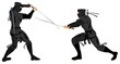 two ninjas fighting with katana