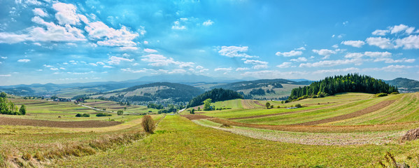 Poster - Panoramic landscape in Pieniny mountains