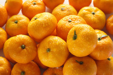 Lots Of Oranges With Water Drops