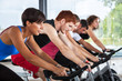 © william87 - Group of People Cycling at Gym