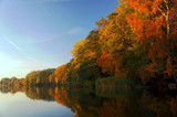 Fototapeta Fototapety z widokami - Las nad jeziorem jesienią