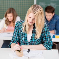 Wall Mural - studentin schreibt mit