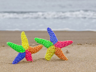 Two Rainbow Starfish on the Shoreline