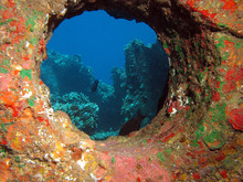 Underwater Porthole With Vibrant Colors