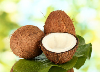 Wall Mural - coconuts on green background close-up