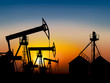 © redcarpett - oil field at sunset near the storage tank