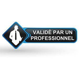 Poster - validé par un professionnel sur bouton web carré design bleu