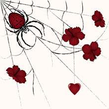 Spider And Heart