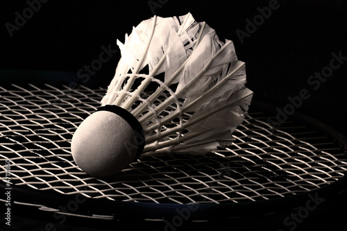 Dekoracja na wymiar  wolant-na-rakiecie-do-badmintona