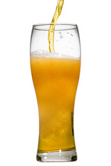 Wall Mural - Beer is pouring into glass on white background