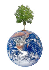 Wall Mural - Planet earth as symbol of nature conservation.Elements of this i