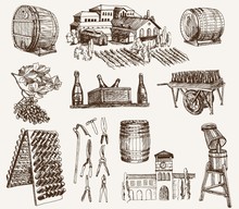 Winemaking. The Production Of Sparkling Wines