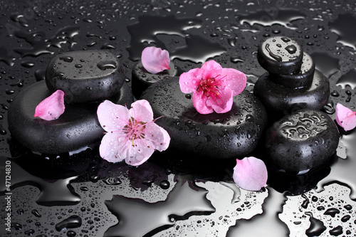 Tapeta ścienna na wymiar Spa stones with drops and pink sakura flowers