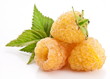 Yellow raspberries isolated on a white background.