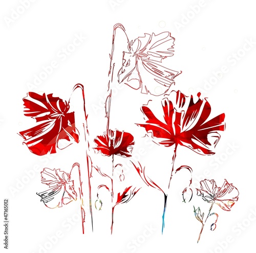 Naklejka dekoracyjna Red poppies on a white background