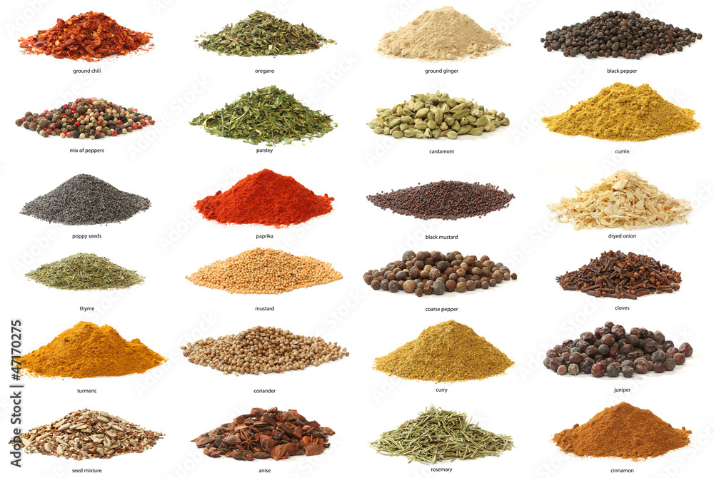 Different spices isolated on white background. Large Image - obrazy, fototapety, plakaty 